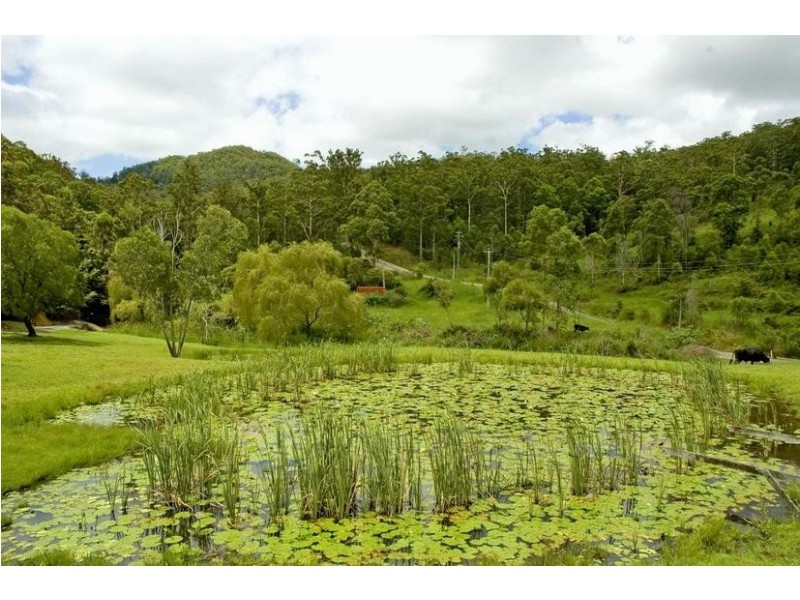 33 Upper Ormeau Road, Tamborine Mountain QLD 4272