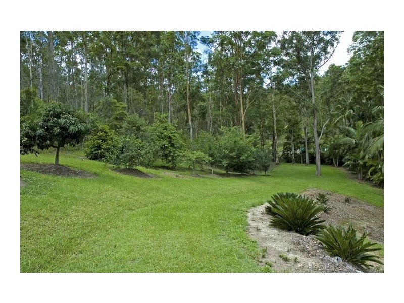 33 Upper Ormeau Road, Tamborine Mountain QLD 4272