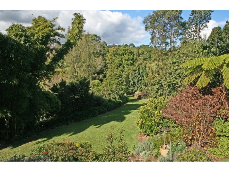 49 Benowa Street, Tamborine Mountain QLD 4272