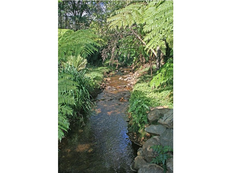 49 Benowa Street, Tamborine Mountain QLD 4272