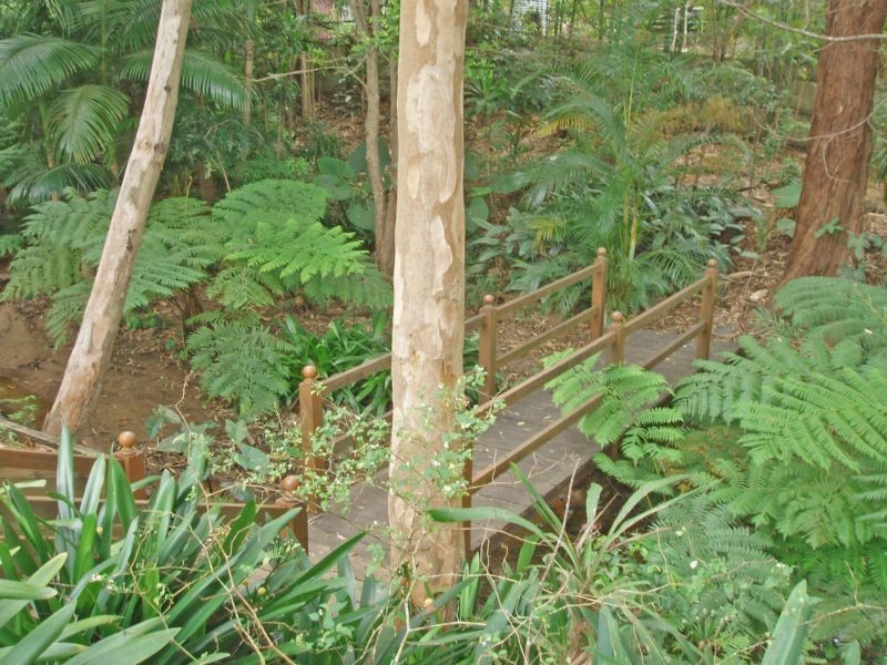 Tamborine Mountain QLD 4272