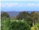 Tamborine Mountain QLD 4272