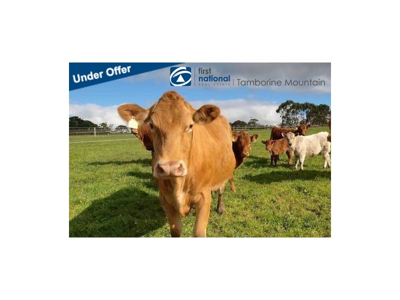 Tamborine Mountain QLD 4272