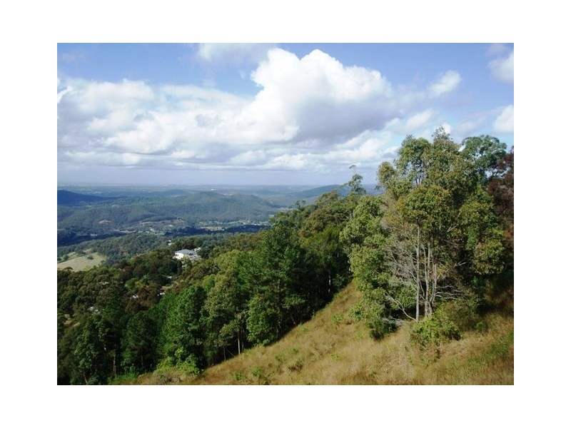 143 Guanaba Road, Tamborine Mountain QLD 4272