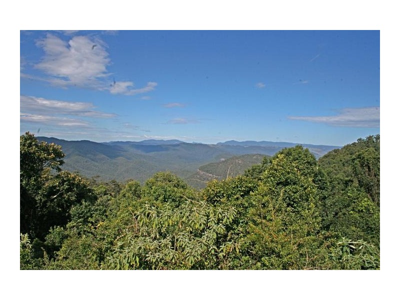 Tamborine Mountain QLD 4272