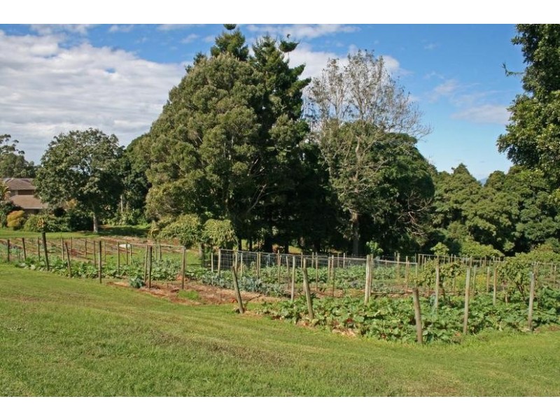 Tamborine Mountain QLD 4272