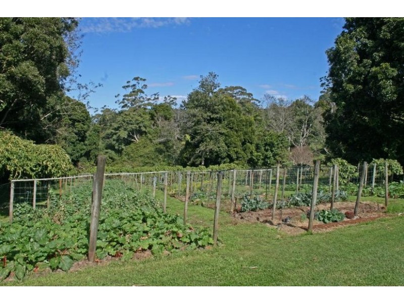 Tamborine Mountain QLD 4272