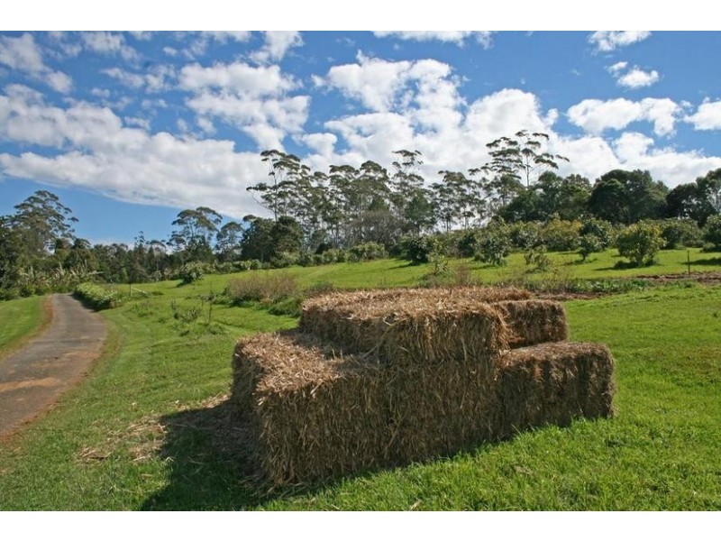 Tamborine Mountain QLD 4272