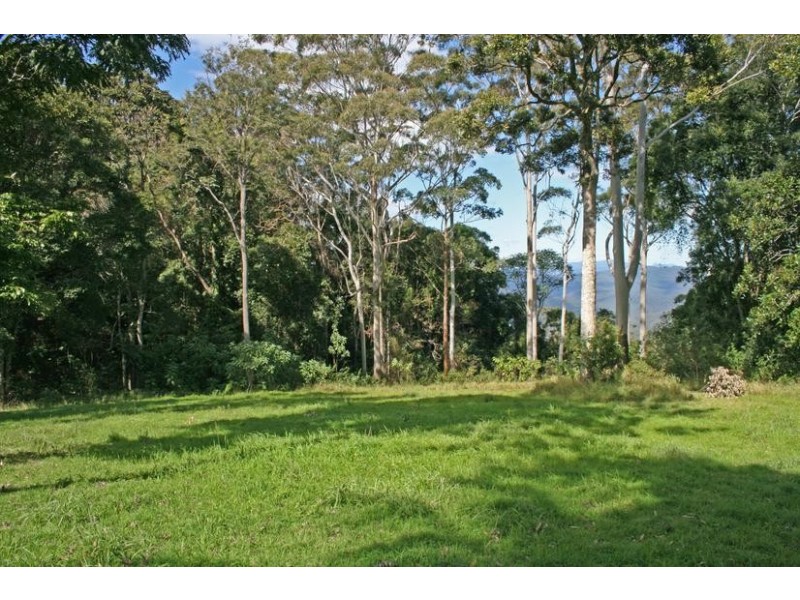 Tamborine Mountain QLD 4272