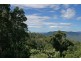 Tamborine Mountain QLD 4272