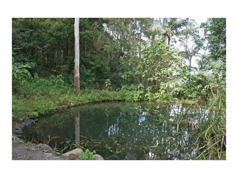 Tamborine Mountain QLD 4272