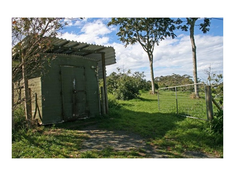 Tamborine Mountain QLD 4272