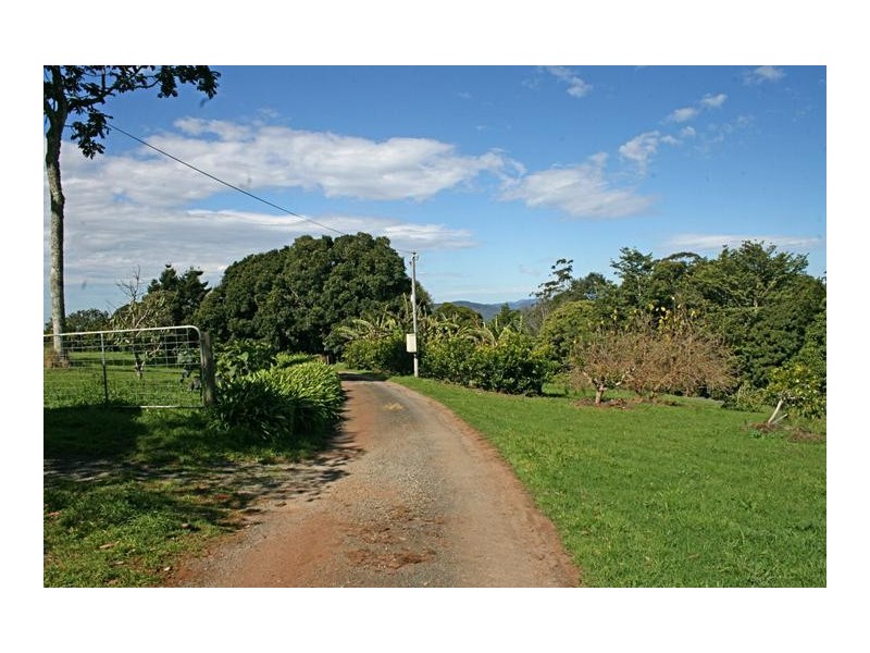 Tamborine Mountain QLD 4272