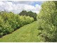 Tamborine Mountain QLD 4272