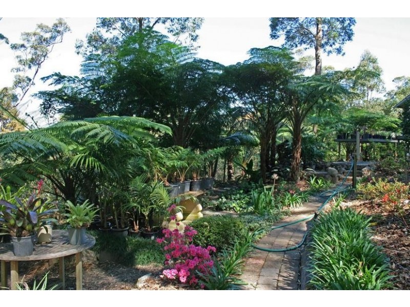 191 Wongawallan Road, Eagle Heights QLD 4271