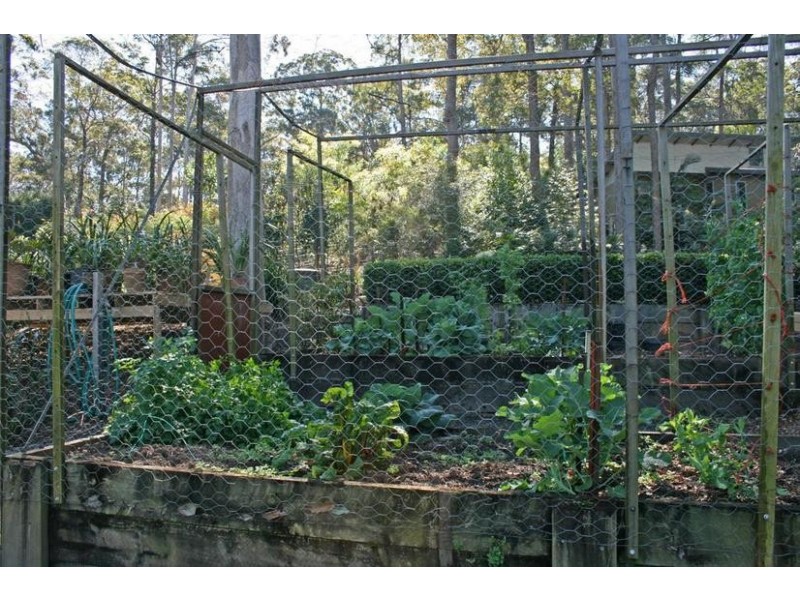 191 Wongawallan Road, Eagle Heights QLD 4271