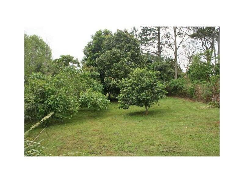 61 Coomera Gorge Drive, Tamborine Mountain QLD 4272