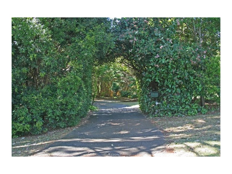 81 Prospect Street, Tamborine Mountain QLD 4272