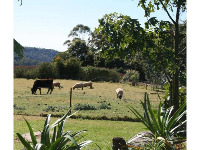 50 Lahey Lookout Road, Tamborine Mountain QLD 4272