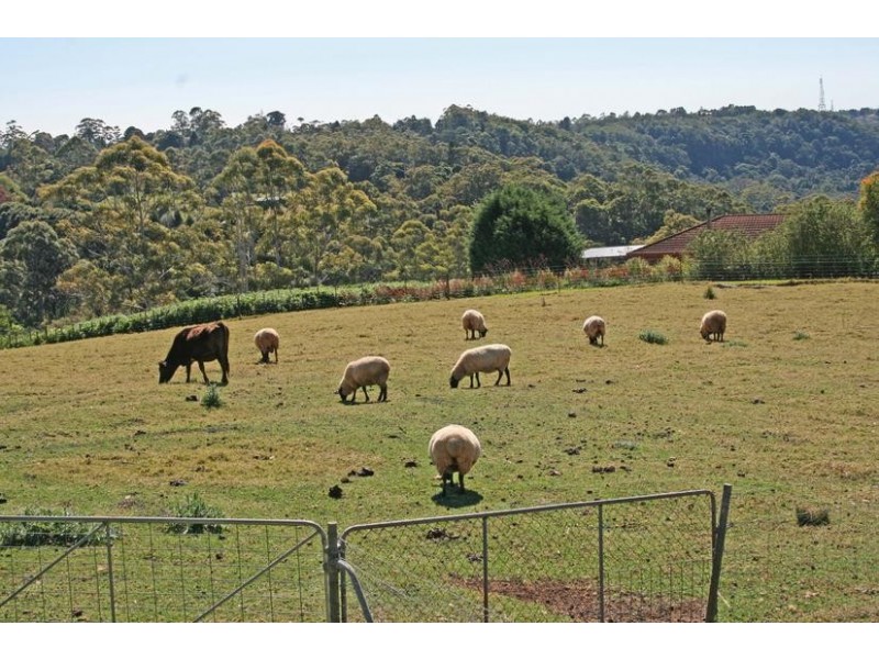 50 Lahey Lookout Road, Tamborine Mountain QLD 4272