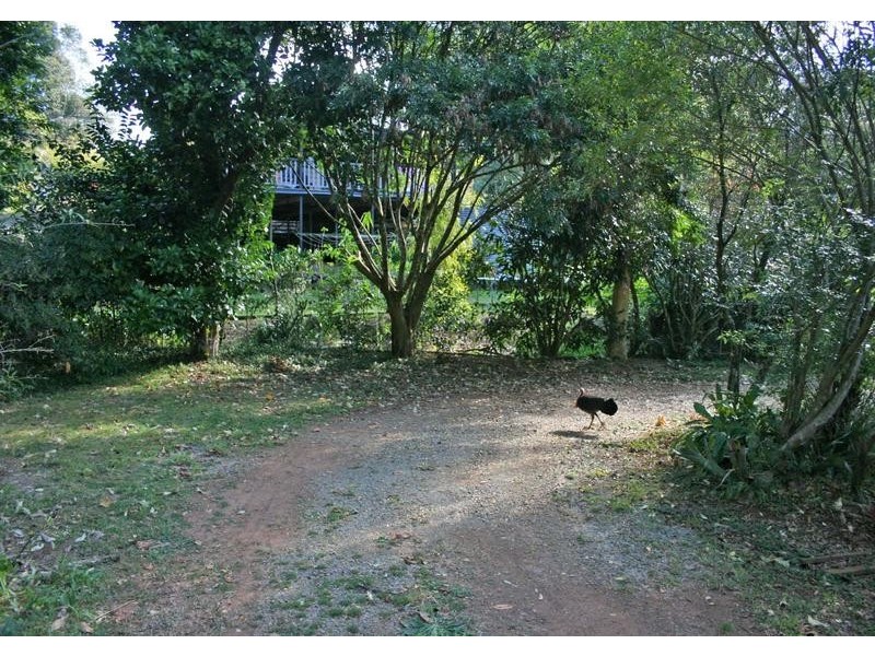 21 Dapsang Drive, North Tamborine QLD 4272