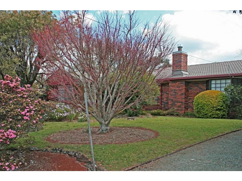 53 Paradise Drive, Eagle Heights QLD 4271