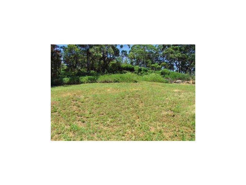 155 Guanaba Road, Tamborine Mountain QLD 4272