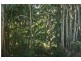 North Tamborine QLD 4272