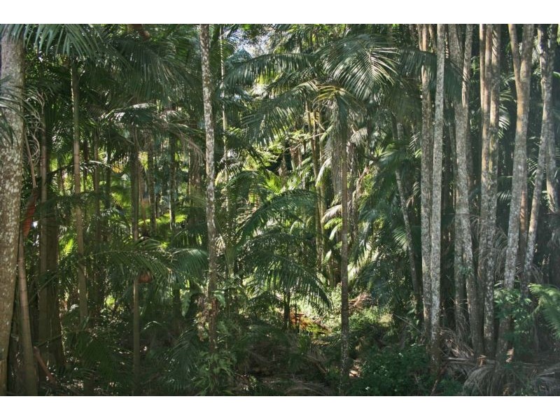 North Tamborine QLD 4272