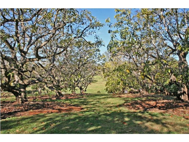 59 Benowa Street, Tamborine Mountain QLD 4272