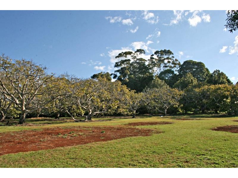 59 Benowa Street, Tamborine Mountain QLD 4272