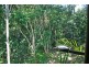 4 Orchis Drive, Eagle Heights QLD 4271