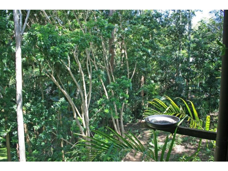 4 Orchis Drive, Eagle Heights QLD 4271