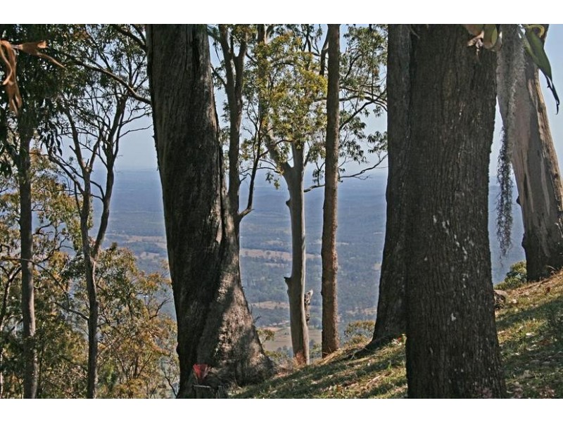 145 Sierra Drive, North Tamborine QLD 4272