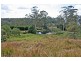 91 Wongawallan Road, Eagle Heights QLD 4271
