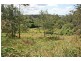 91 Wongawallan Road, Eagle Heights QLD 4271