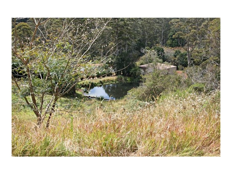 91 Wongawallan Road, Eagle Heights QLD 4271