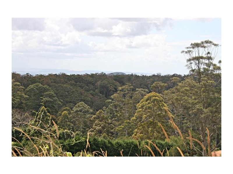 91 Wongawallan Road, Eagle Heights QLD 4271