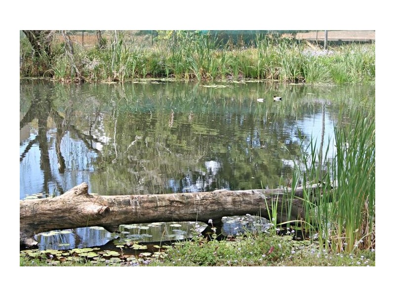 91 Wongawallan Road, Eagle Heights QLD 4271