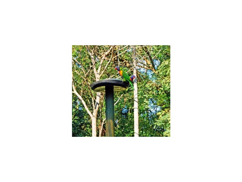 North Tamborine QLD 4272