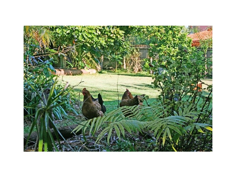 North Tamborine QLD 4272