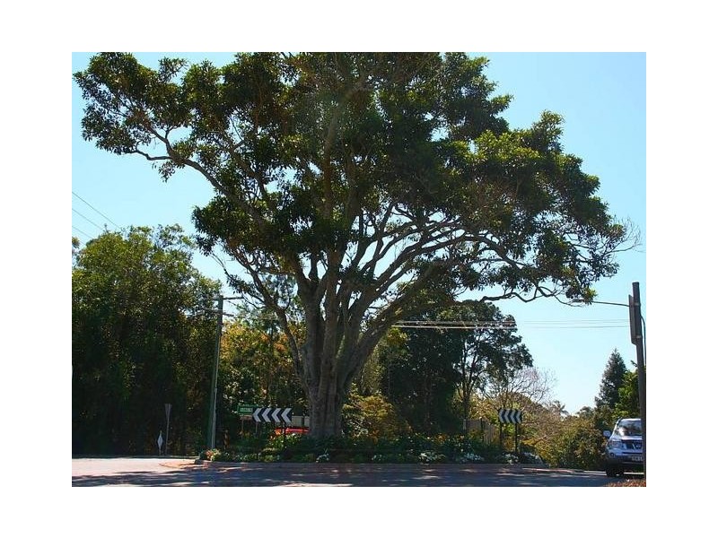 Eagle Heights QLD 4271