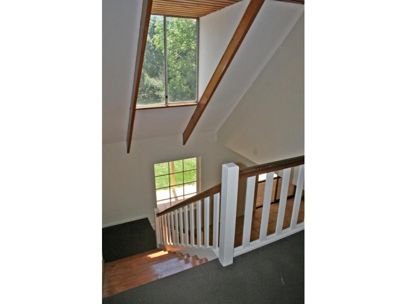 170 Alpine Tce, Tamborine Mountain QLD 4272