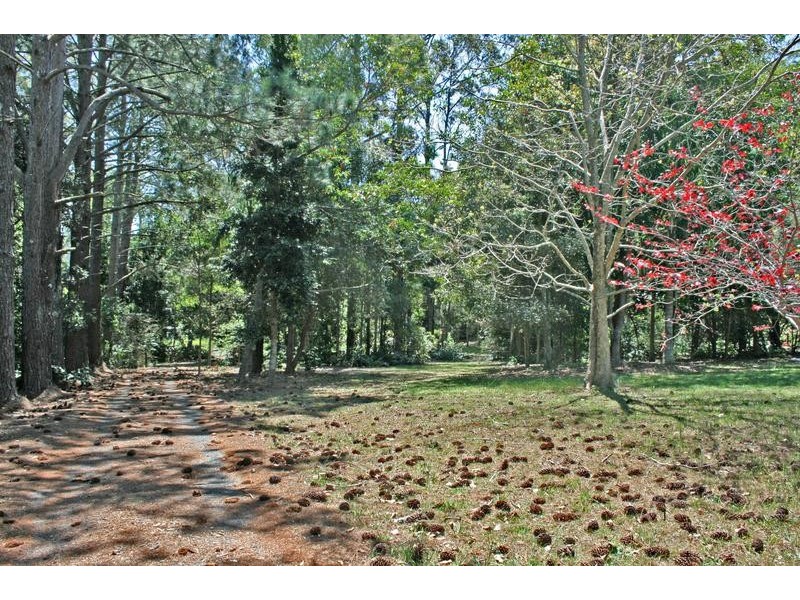 170 Alpine Tce, Tamborine Mountain QLD 4272