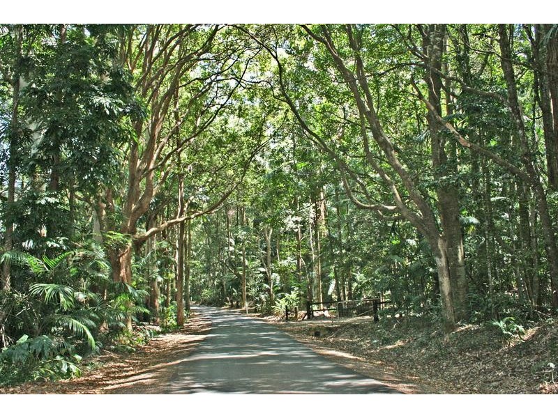 170 Alpine Tce, Tamborine Mountain QLD 4272