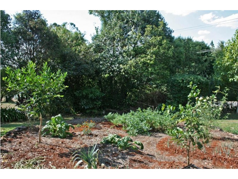 4 Mazama Court, Eagle Heights QLD 4271