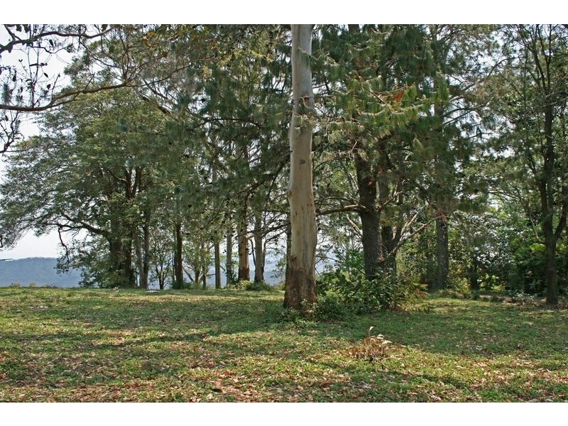 Tamborine Mountain QLD 4272