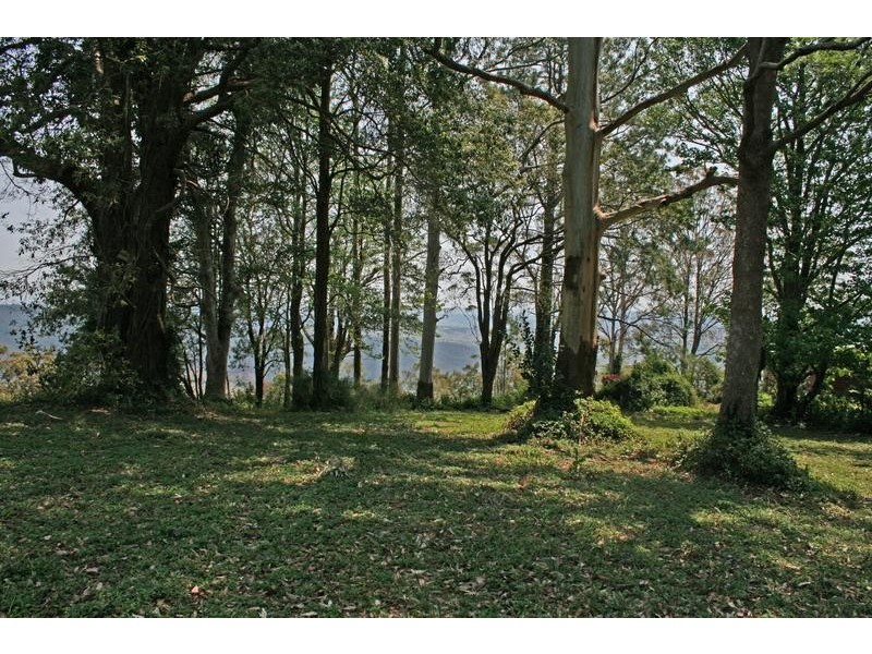 Tamborine Mountain QLD 4272