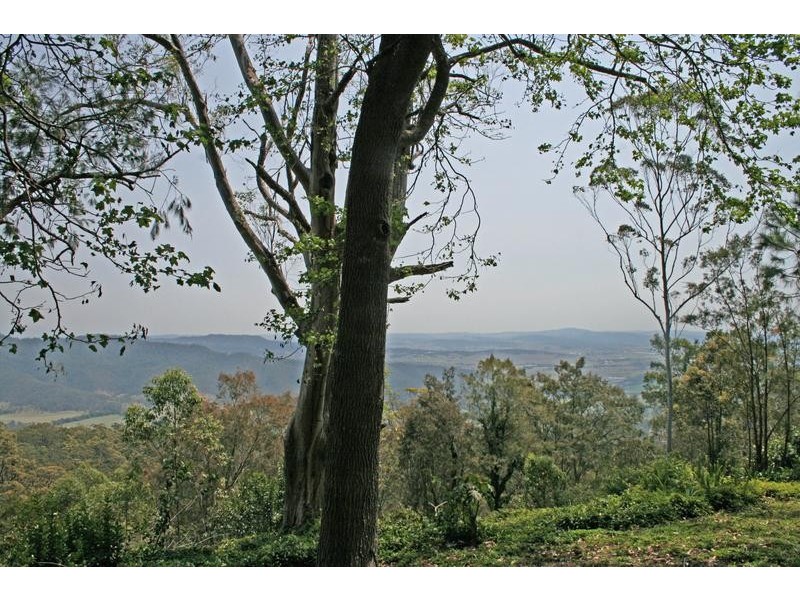 Tamborine Mountain QLD 4272