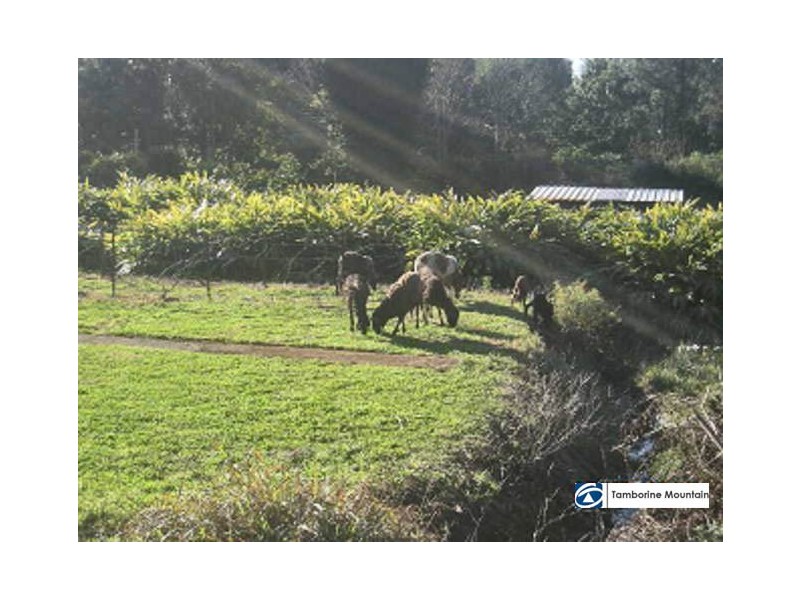 11-15 Siganto Street, Tamborine Mountain QLD 4272